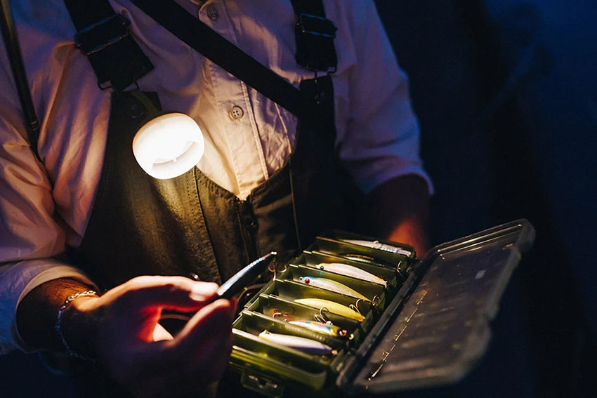 Staff Choices for Home and Camp