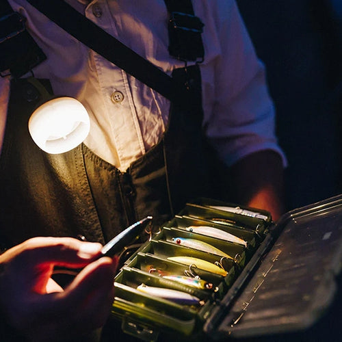 Staff Choices for Home and Camp