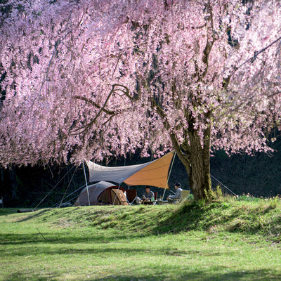 HD Hexa Tarp L   - Snow Peak UK