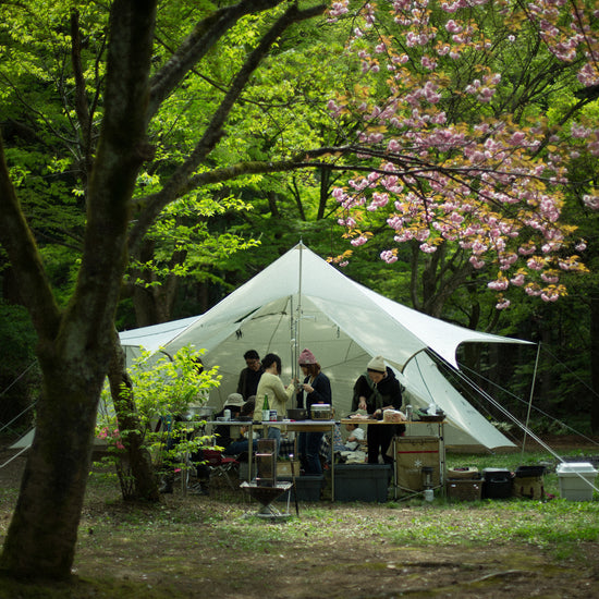 HD Tarp Hexa Evo Pro. in Ivory - Snow Peak UK