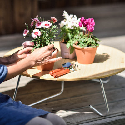 Renewed Single Action Table Low M   - Snow Peak UK