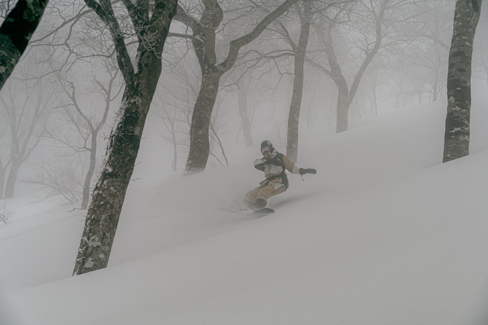 Mountain of Moods 2025 – Snow Peak