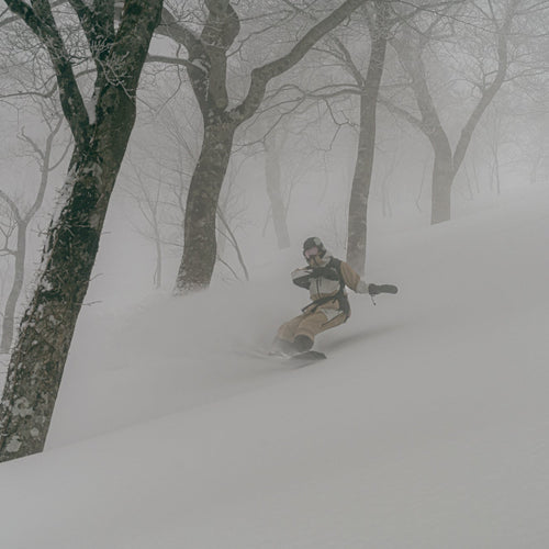 Mountain of Moods 2025