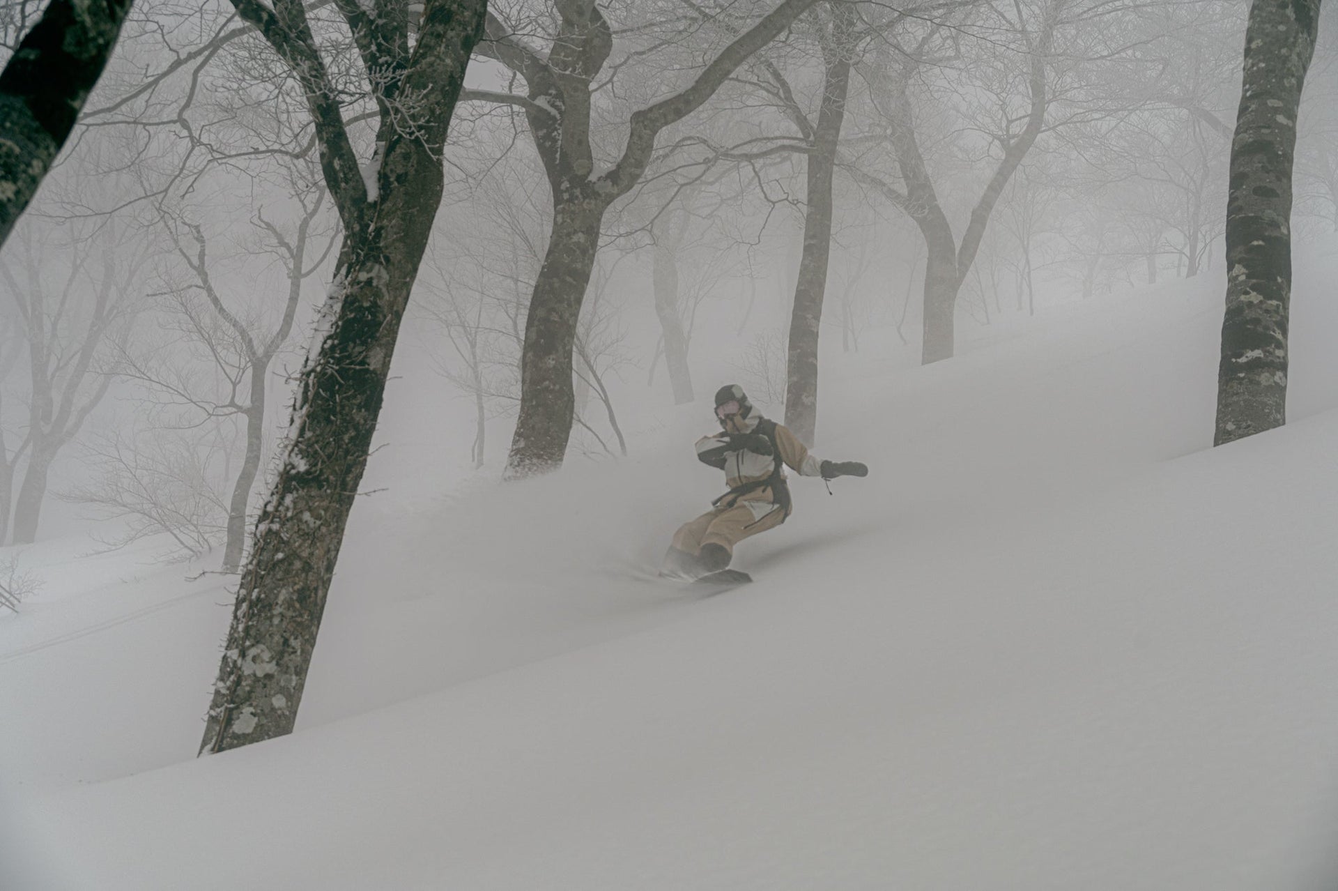 Mountain of Moods 2025