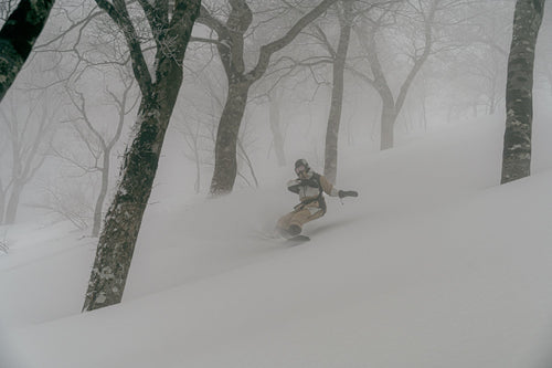 Mountain of Moods 2025