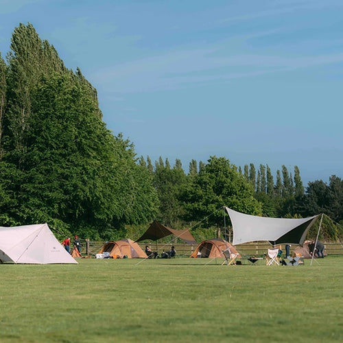 Camping in the New Forest: All you need to know