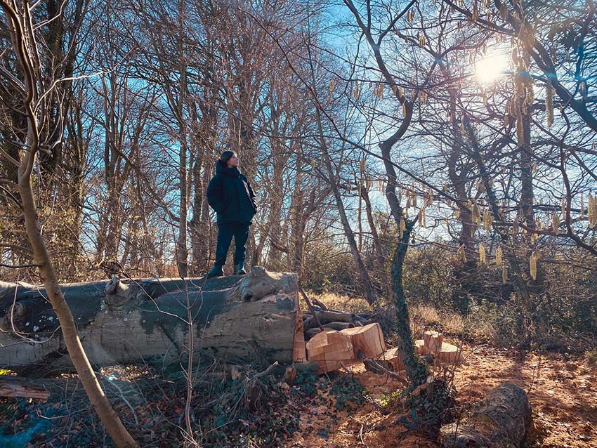 Shinrin Yoku ~ Forest Bathing