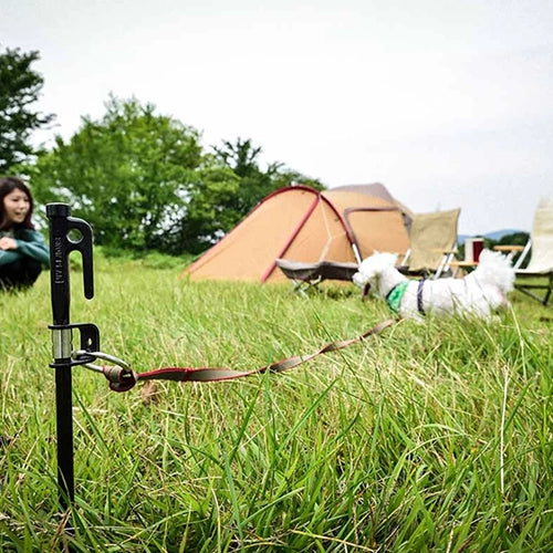 Sherwood Forest Camping: All you need to know