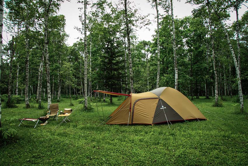 Entry Line Best Seller: The Amenity Dome