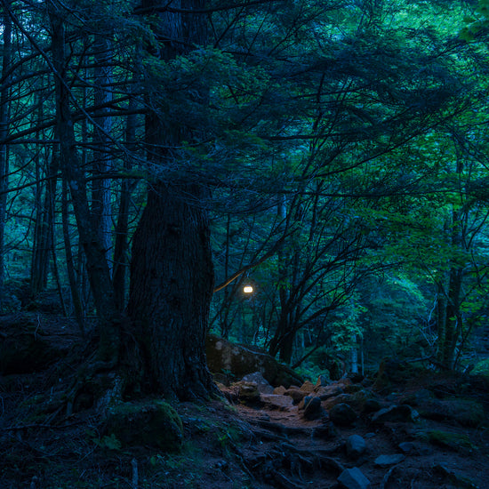 Hozuki Lantern   - Snow Peak UK