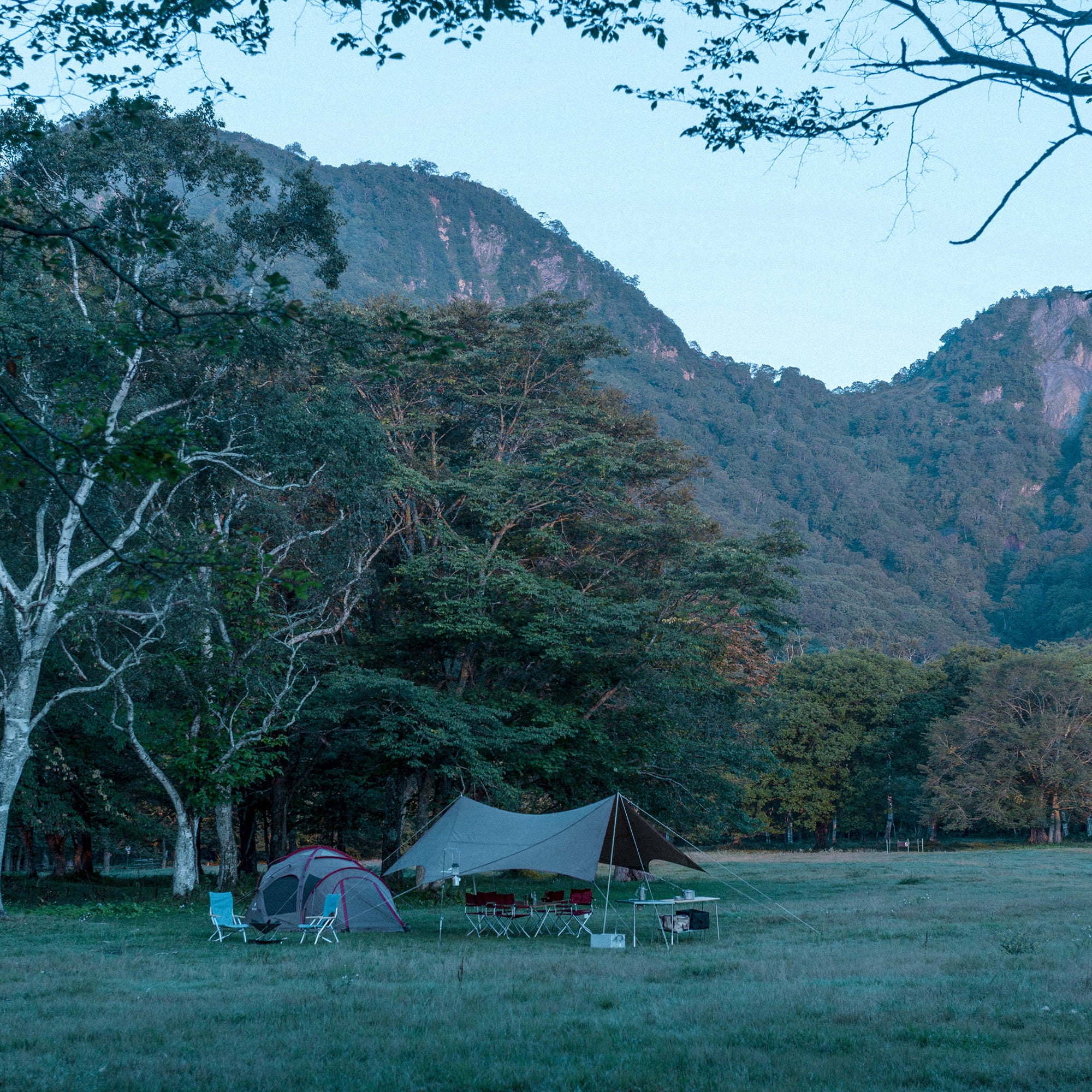 HD Tarp Shield Hexa Evo Pro.   - Snow Peak UK