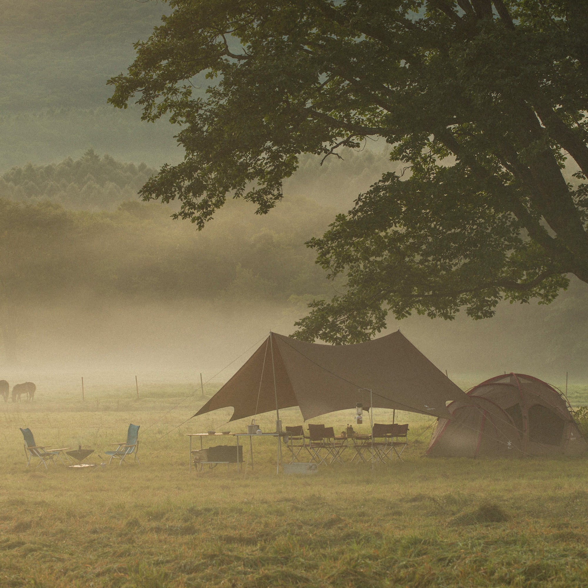 HD Tarp Shield Hexa Evo Pro.   - Snow Peak UK