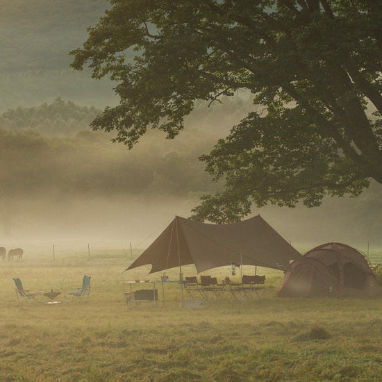 HD Tarp Shield Hexa Evo Pro.   - Snow Peak UK