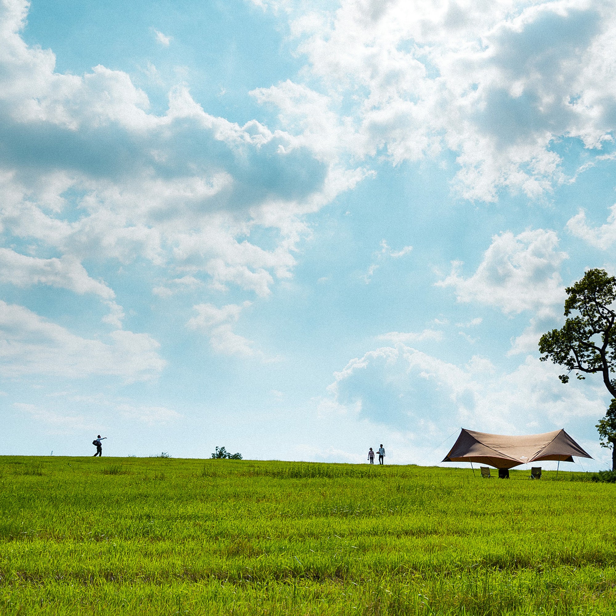 HD Tarp Shield Hexa Evo Pro.   - Snow Peak UK