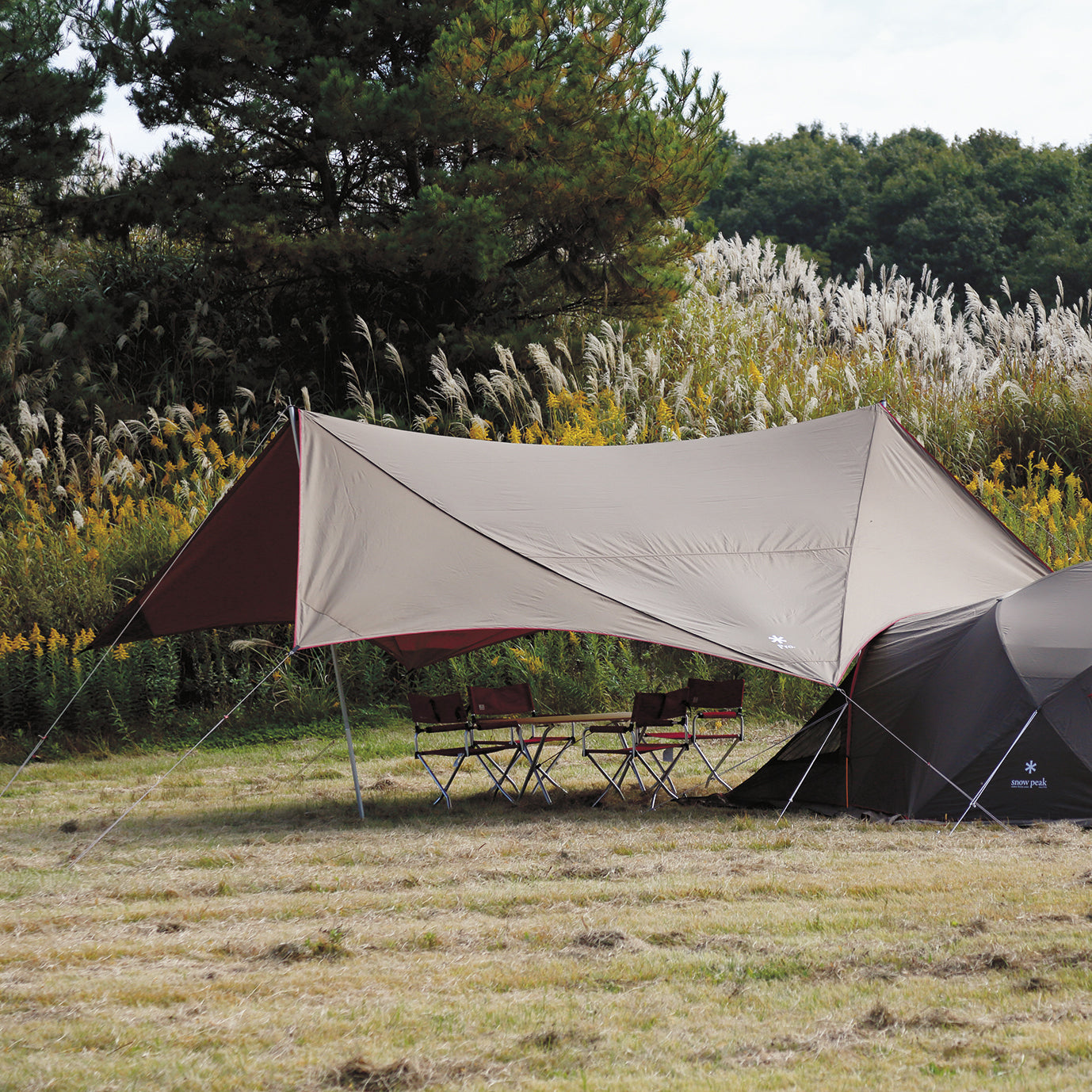 HD Tarp Shield Hexa Evo Pro.   - Snow Peak UK
