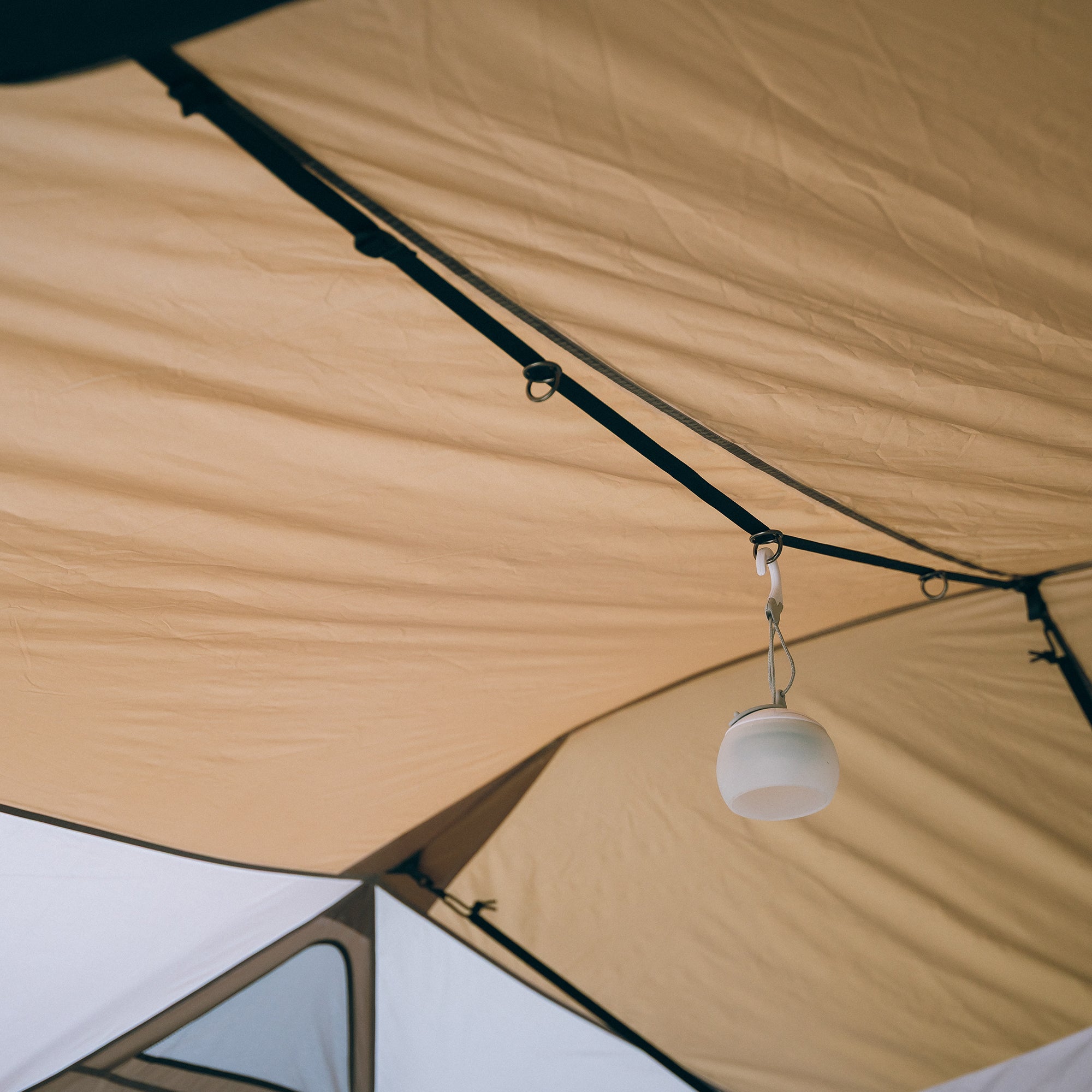 Land Nest Shelter Black Frame