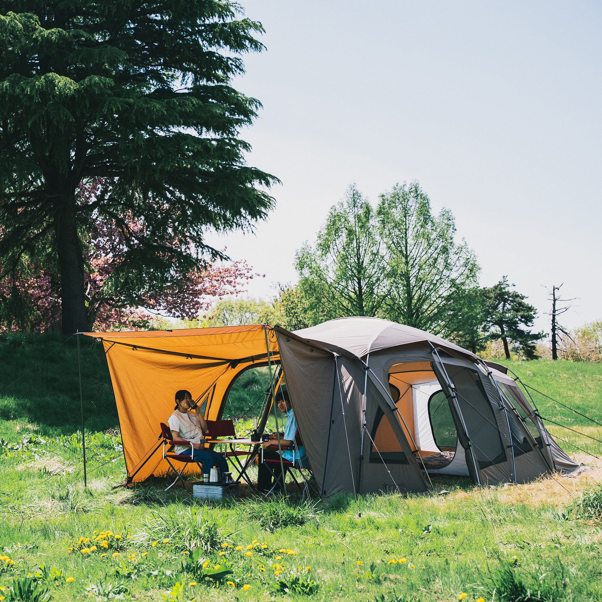 Tortue Pro. 2026 Edition - Snow Peak UK