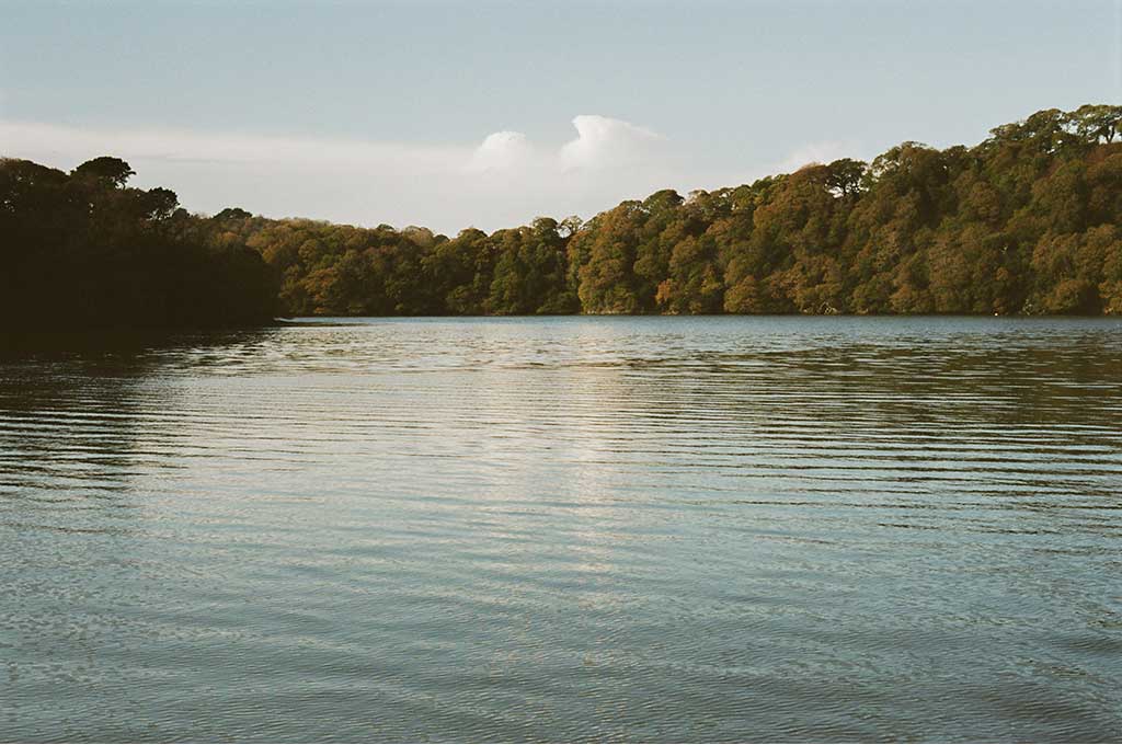 The Forest and the Sea - Snow Peak UK